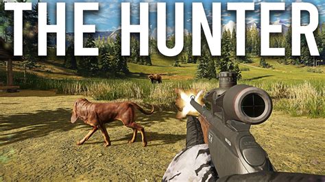 Hunting Games ️ Play on CrazyGames.